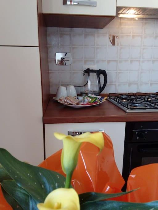 フィウミチーノCasa Di Cristinaアパートメント エクステリア 写真