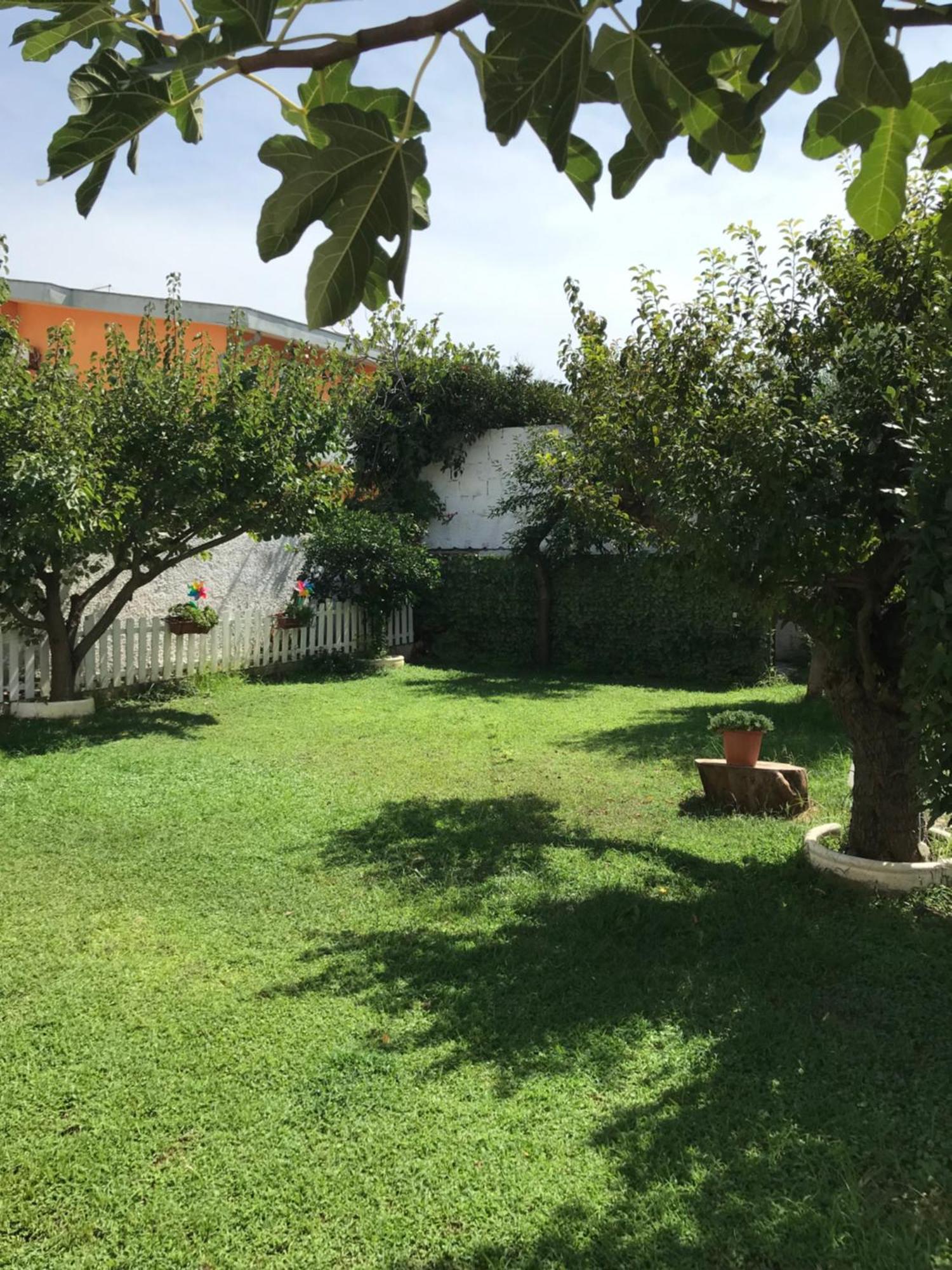 フィウミチーノCasa Di Cristinaアパートメント エクステリア 写真